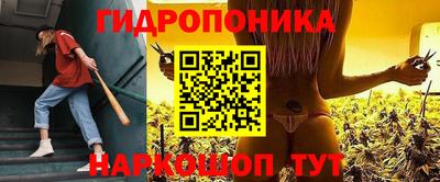 крисы Ярославль