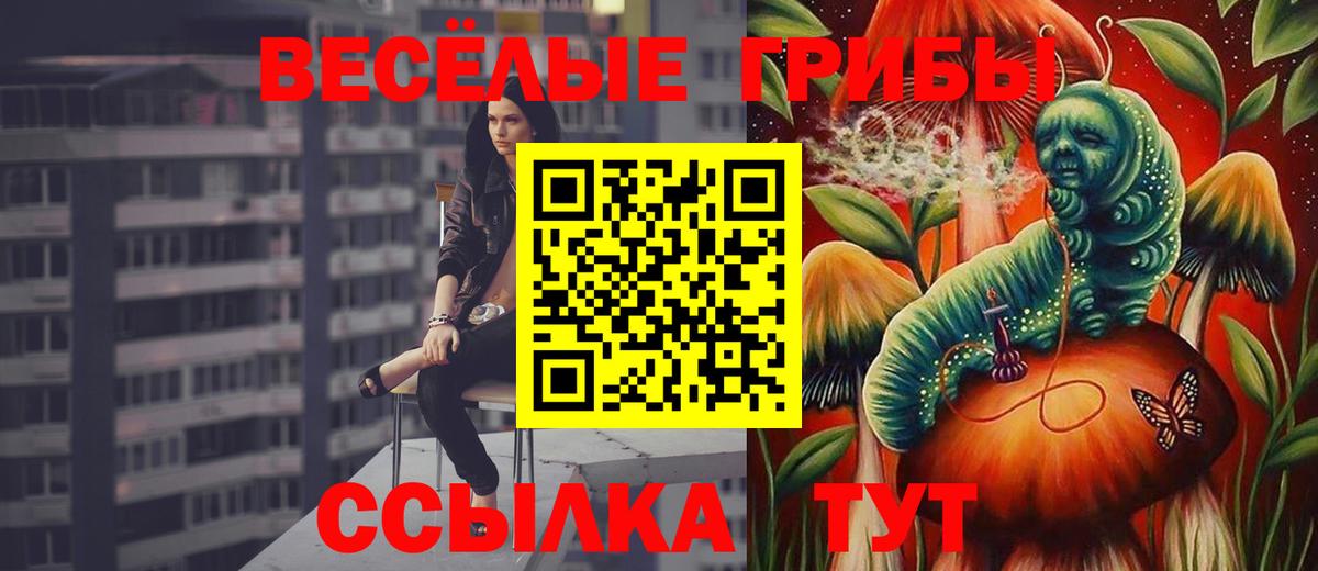 Псилоцибиновые грибы прущие грибы Белебей