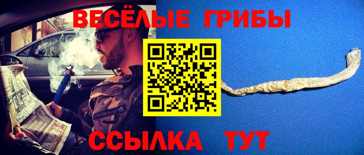 Галлюциногенные грибы MAGIC MUSHROOMS  купить  цена  Вход с VPN  Белебей  Галлюциногенные грибы Magic Shrooms 